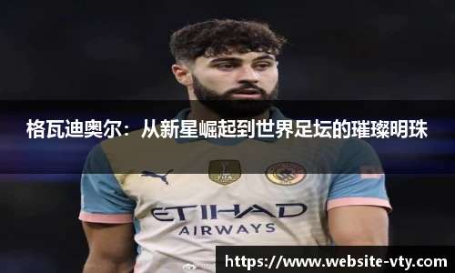 格瓦迪奥尔：从新星崛起到世界足坛的璀璨明珠